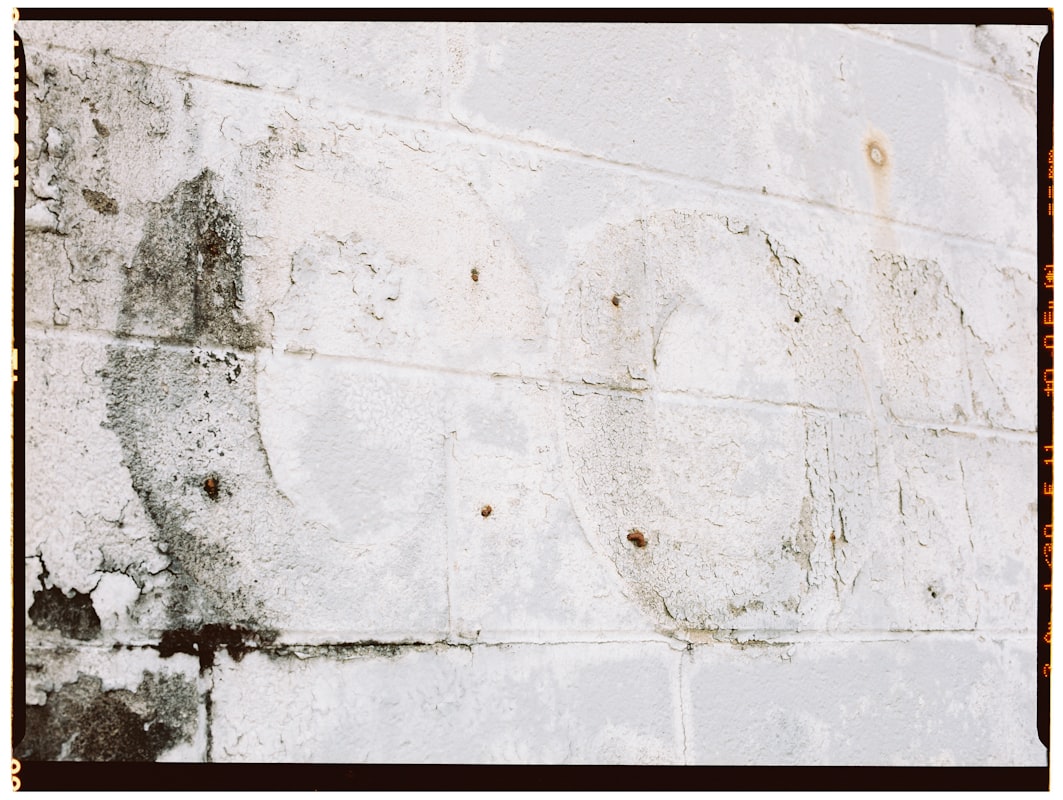 Water Extraction service in Alpharetta, GA